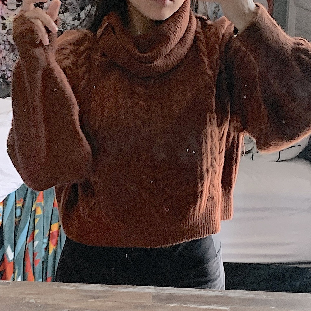 Wild Fable Brown Cropped Knitted Sweater